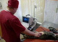 Ветеринарная клиника Вет-ОК Фото 4 на сайте Mylublino.ru