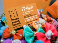 Зоосалон Груша Фото 12 на сайте Mylublino.ru