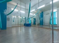 Студия воздушной акробатики Pole dance club Фото 1 на сайте Mylublino.ru