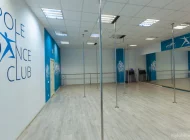 Студия воздушной акробатики Pole dance club Фото 3 на сайте Mylublino.ru