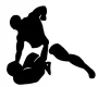 MMA Клуб боевых единоборств  на сайте Mylublino.ru