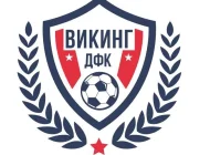 Детский футбольный клуб Викинг на улице Судакова Фото 3 на сайте Mylublino.ru