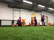 Детский футбольный клуб Kings в Люблино Фото 6 на сайте Mylublino.ru